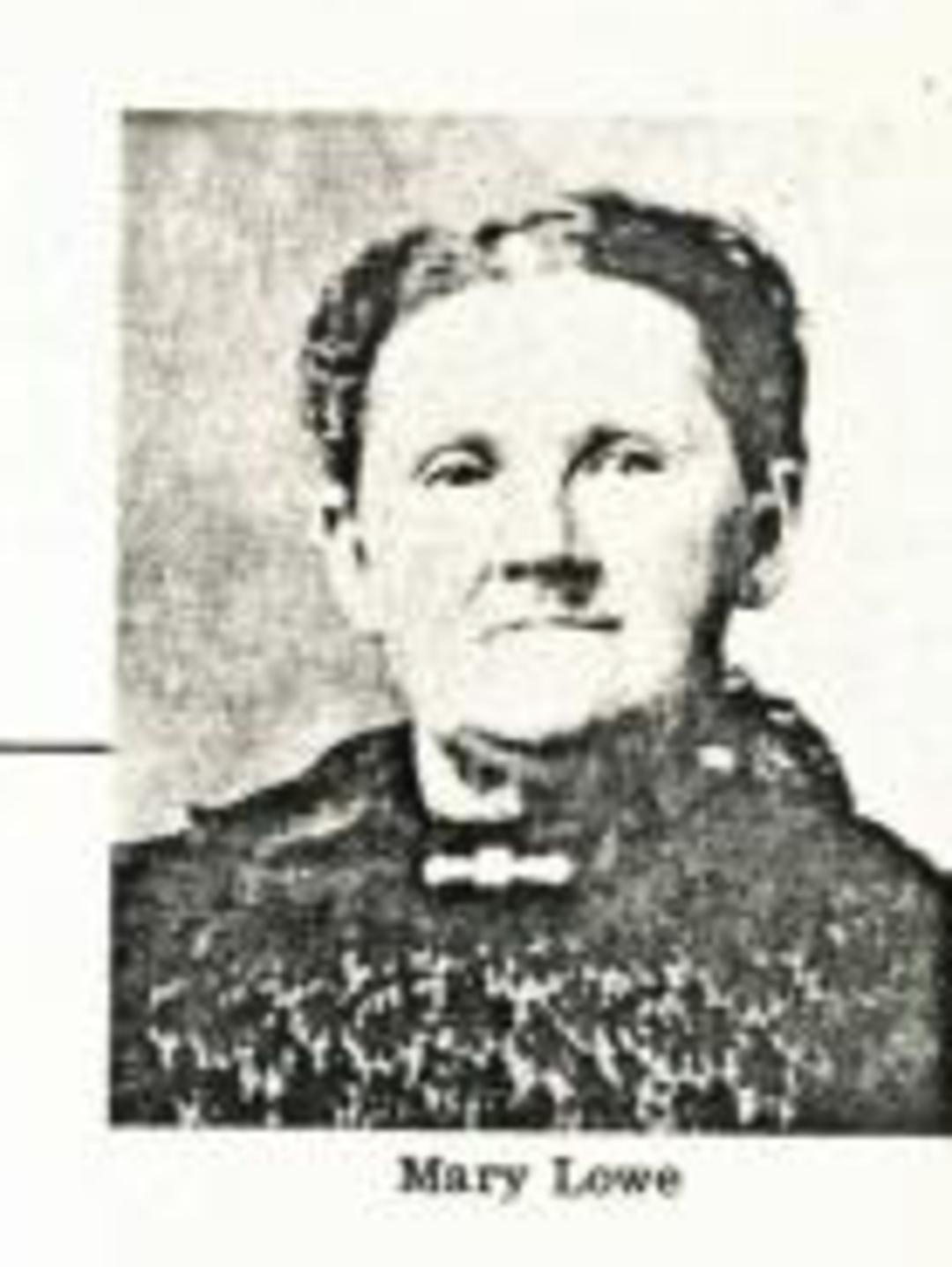 Mary Dudley Lowe (1837 - 1914) Profile